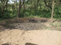 Manyara-Nationalpark - Elefantensuhle