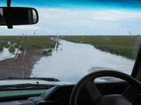 Serengeti - nach einem heftigen Regenguss verwandeln sich die Pisten in Bäche und Schlammläufe