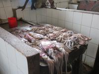 Stone Town - Fisch-Markt