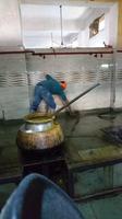 Küche im Sikh-Tempel Delhi