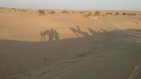 Kamelritt in Sam