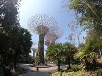 Gardens by the Bay - Singapur