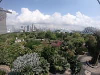 Gardens by the Bay - Singapur