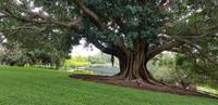 Spaziergang durch Sydney