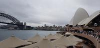 Spaziergang durch Sydney - Sydney Hafen
