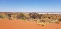 Sanddüne im Outback 