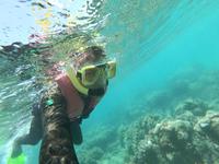 Schnorcheln im Great Barrier Reef