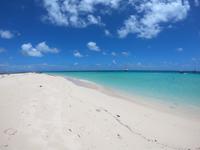 Schnorcheln im Great Barrier Reef