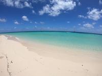 Schnorcheln im Great Barrier Reef