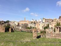 alte Tempelanlagen im Forum Romanum