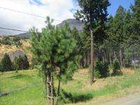 Mittagspause Coyhaique