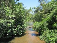 Argentinische Seite der Iguazu-Wasserfälle
