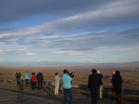 Fahrt von El Calafate zum Nationalpark Torres del Paine - Von Argentinien nach Chile (3)