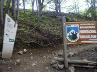 Wanderung zum Aussichtspunkt de las Torres in Torres del Paine Nationalpark - Patagonien - Chile (23)