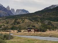 Wanderung zum Aussichtspunkt de las Torres in Torres del Paine Nationalpark - Patagonien - Chile (27)