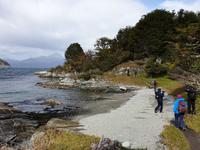 Wanderung am Beagle-Kanal im Feuerland-Nationalpark (7)