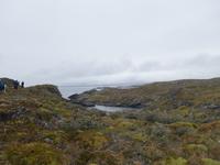 Katamaran-Bootsfahrt auf dem Beagle-Kanal  (43)