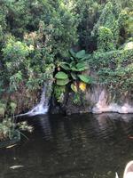 Loro Parque