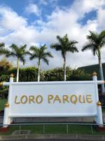 Loro Parque