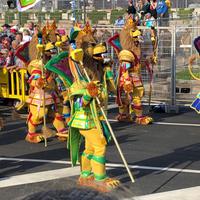 Carneval in Santa Cruz