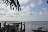 Am Suriname Fluss, Abfahrt zur Sunset Dolphin Tour