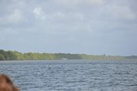 Sunset Dolphin Tour 