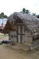 Anaula - Maronendorf