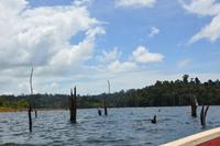 van Blommenstein Staudamm