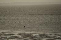 Cayenne - Abendstimmung am Strand