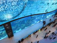 Aquarium in der Dubai-Mall