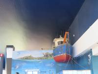 Aquarium in der Dubai-Mall