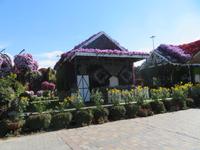 Miracle Garden