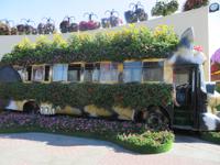 Miracle Garden