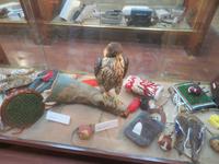 Falkenklinik Abu Dhabi