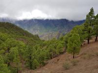 065_La Palma