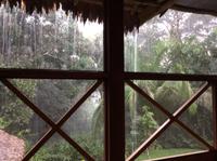 Regen!Wald - Aber das Palmenblattdach hält dicht 