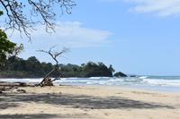 Red Frog Beach