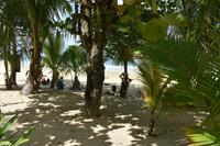 Red Frog Beach