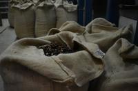 Boquete - Kaffee