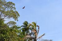 Playa Rincon de San Josecito