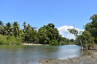 Nationalpark Corcovado
