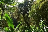 Arenal Volcano National Park
