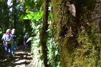 Arenal Volcano National Park
