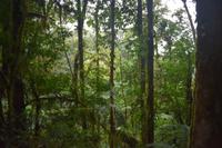 Arenal Volcano National Park
