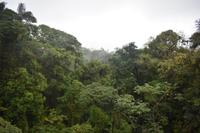 Arenal Volcano National Park
