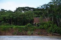 Ein Gehöft im Regenwald