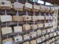 Glückskarten am Meiji-Schrein