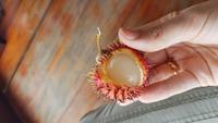 Rambutan