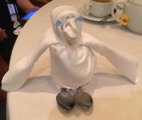 Pinguinbesuch beim Abendessen