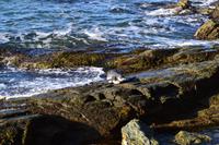 Ushuaia und Feuerland-Nationalpark